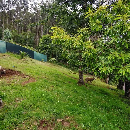 Casa Yamba * Cedeira