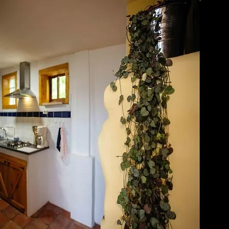 Apartmán Casa Yamba