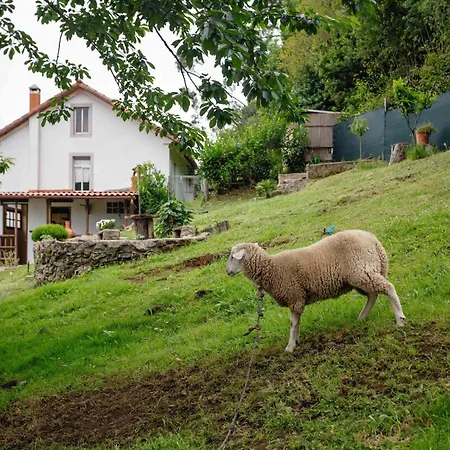 Casa Yamba *