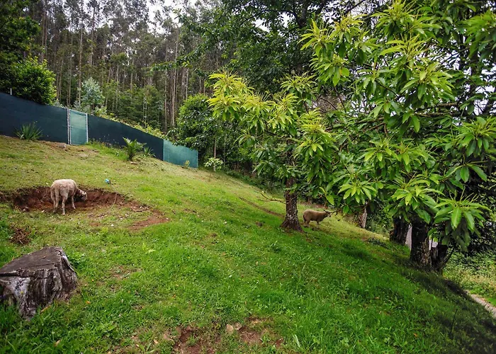 Casa Yamba * Montojo