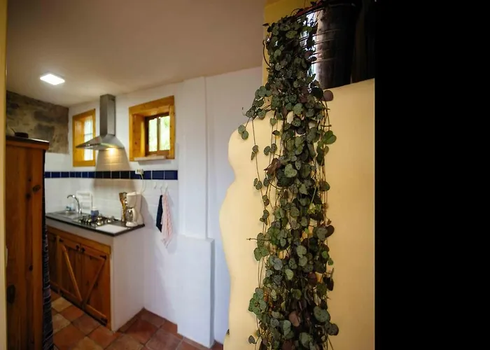 Апартаменты Casa Yamba