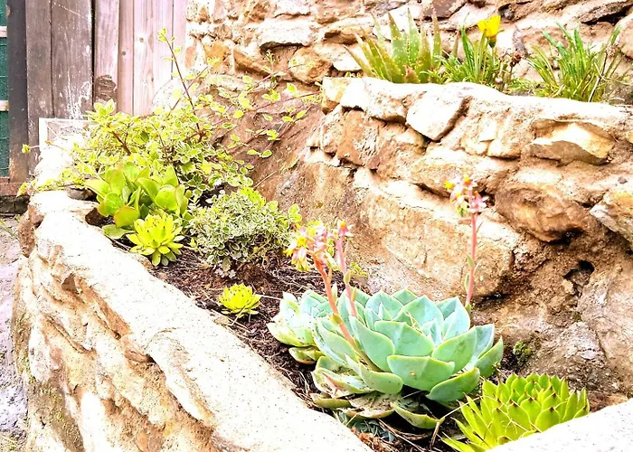 Casa Yamba Апартаменты Montojo