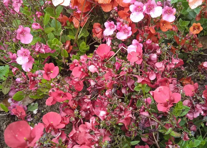 Апартаменты Casa Yamba